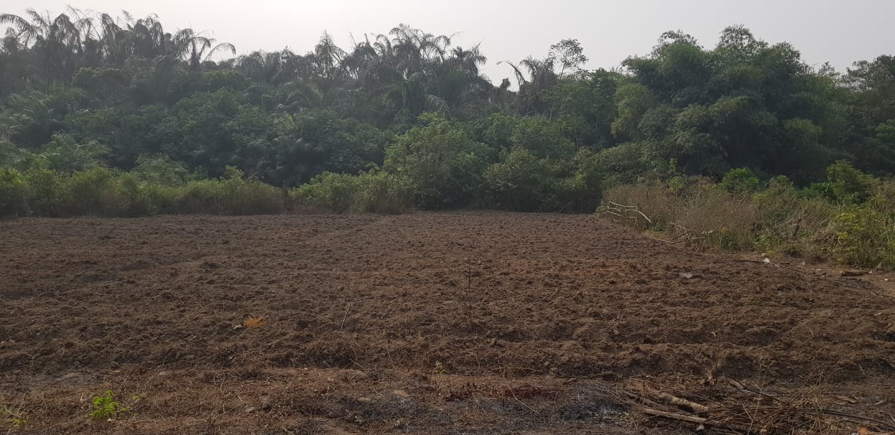 WhatsApp Image 2025-07-23 at 15.53.10_b2a2fa8a