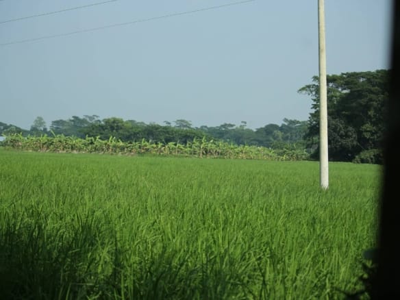 How Many Plots of Land Make an Acre