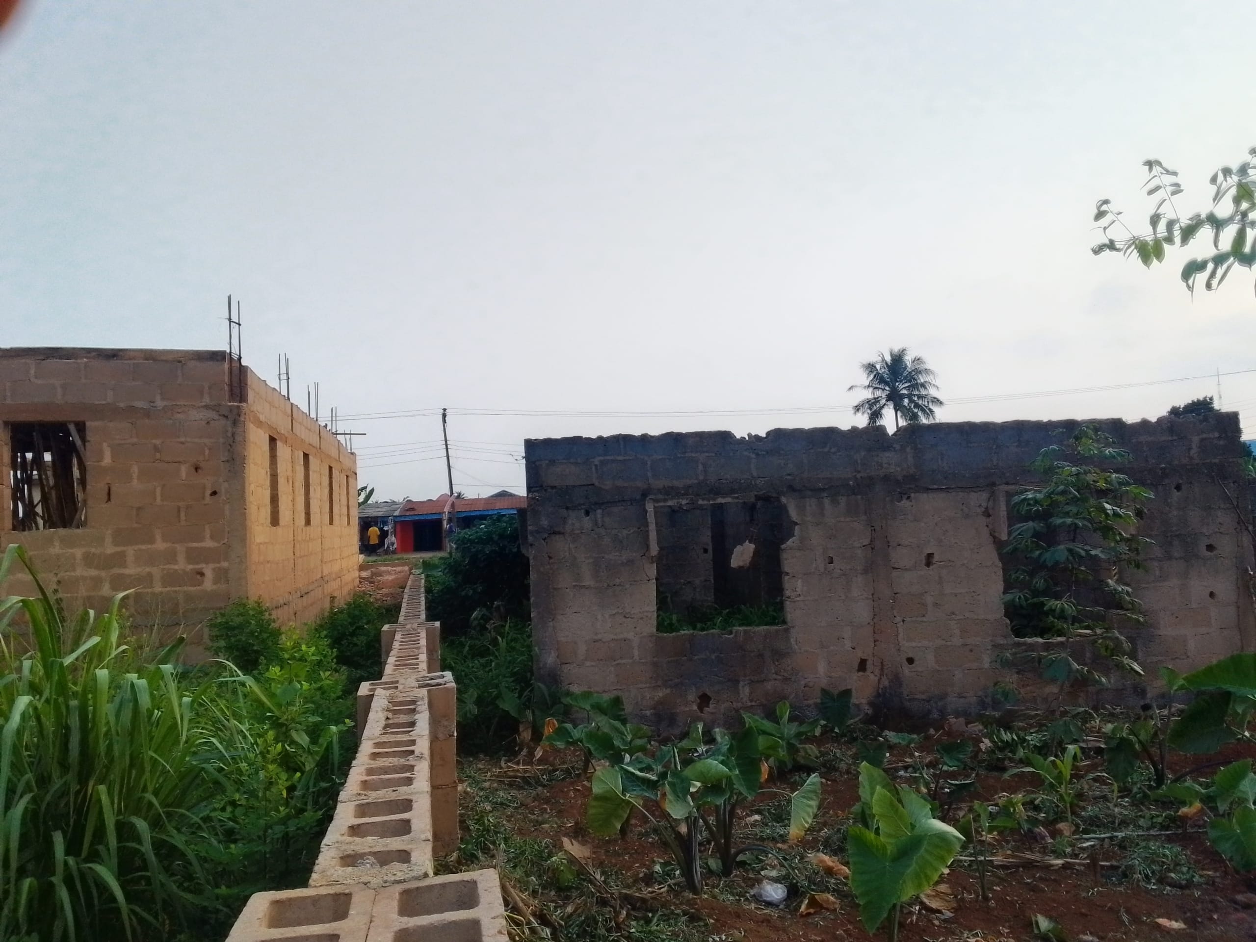 IMG_20250901_180552_686