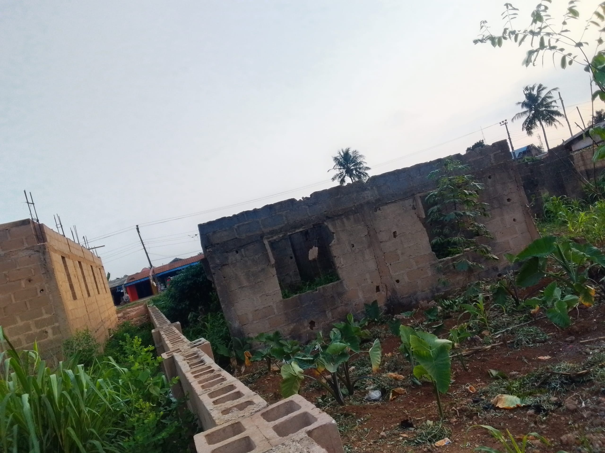 IMG_20250901_180731_088