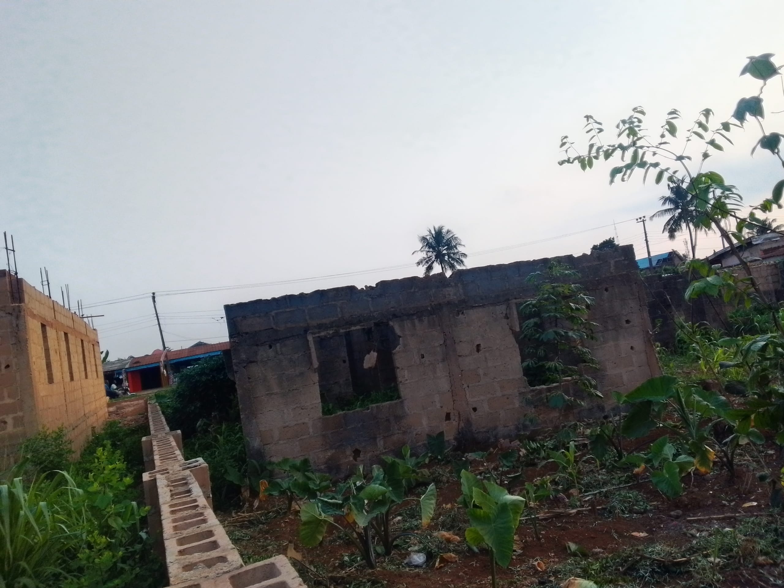 IMG_20250901_180735_005